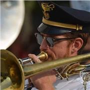 Insegnante di strumenti ad ottone e bocchino tromba,trombone e pianoforte. Provincia di Avellino